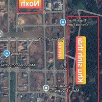 Bán Đất Đường Đôi Đặng Thí - View Khu Sinh Thái - Kđt Nam Đông Hà