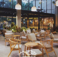Cho Thuê Nhà Biệt Thự Đẹp Phố Tống Duy Tân 275M2, 4 Tầng, Mặt Tiền 15M