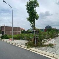 Đất Đấu Giá 3 Mặt Tiền Ô Tô Vỉa Hè Rộng Diện Tích 99 M2 Lỗ Khê, Liên Hà, Đông Anh