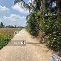 Chính Chủ Bán Miếng Đất Gần Trục Đường Ql50 Gần Công Ty Long Hưngdiện Tích115M2 Chỉ 430 Triệu Có Shr