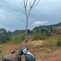 Cần Bán Nhanh Lô Đất Bt View Đẹp Giá Tốt Tại Khu Đô Thị Vạn Xuân - Lạc Dương - Sát Đà Lạt