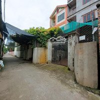 Bán Nhà Tiên Tân Đan Phượng Giá Rẻ