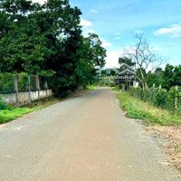 Bán Lô Đất 509.1M2 Thổ Cư Xã Cẩm Giang Gò Dầu Tây Ninh, Chỉ 495 Triệu