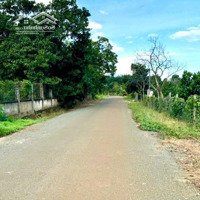 Bán Lô Đất 509.1M2 Thổ Cư Xã Cẩm Giang Gò Dầu Tây Ninh, Chỉ 495 Triệu