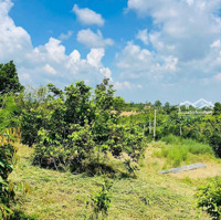 (Gấp) Mảnh Vườn 1000M2 Mặt Tiền Nhựa Chính Xuân Lập - Bàu Sau Ở Hàng Gòn, Tp. Long Khánh, Đồng Nai
