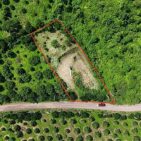(Gấp) Mảnh Vườn 1000M2 Mặt Tiền Nhựa Chính Xuân Lập - Bàu Sau Ở Hàng Gòn, Tp. Long Khánh, Đồng Nai