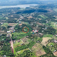 (Gấp) Mảnh Vườn 1000M2 Mặt Tiền Nhựa Chính Xuân Lập - Bàu Sau Ở Hàng Gòn, Tp. Long Khánh, Đồng Nai