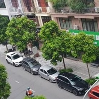 Bán Nhà Mặt Phố Nguyễn Văn Huyên, 300M2, Cầu Giấy, Hà Nội