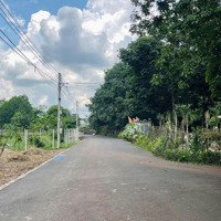 Cần Bán 1000M2 Có Full Hồng Bao Thổ Cư An Linh Phú Giáo Bình Dương 820 Triệu