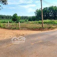 Cần Bán 1000M2 Có Full Hồng Bao Thổ Cư An Linh Phú Giáo Bình Dương 820 Triệu