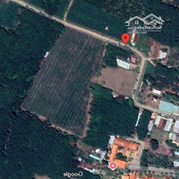 Bán Đất Tại Dh507, An Linh, Phú Giáo, Bình Dương, 670 Triệu, 180 M2 Đẹp, Nhiều Tiện Ích Hot!