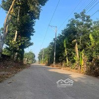 Bán Đất Tại Bình Dương , 600 Triệu, 1129M2, Mặt Tiền 10M, Ngõ Rộng 8M, Pháp Lý Đầy Đủ