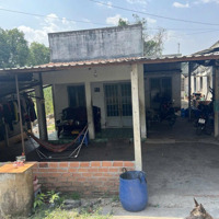 Bán Căn Nhà 400 M², Mặt Tiền Đường Nhựa Tại Phước Thạnh, Củ Chi