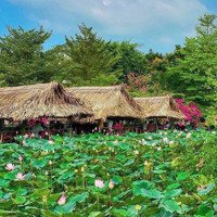 Bán Đất Mặt Tiền Rạch Thuận Tiện Làm Nhà Nghĩ Dưỡng Hoặc Kinh Doanh Nhà Trọ
