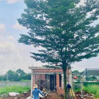 TÔI CẦN BÁN NHANH 2 NỀN LIỀN KỀ ĐẤT FULL THỔ CƯ ( ODT). TRUNG TÂM THÀNH PHỐ, GIÁ THƯƠNG LƯỢNG