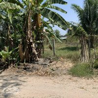 Bán Gấp Lô Đất Thổ Cư 1/Đường 6A, Xã Vĩnh Lộc B, Bình Chánh, Hồ Chí Minh. Diện Tích: 160M2