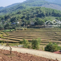 Bán Đất Dòng Tiền Giáp Dự Án Sungroup 2.2Ha Bám Hồ View Đồi Núi Ruộng Bậc Thang Cực Đẹp Tại Kim Bôi