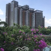 Bán Nhà 285 Tỷ, 282M2 Tại Quảng Khánh, Quận Tây Hồ, Hà Nội - Chính Chủ, Hot