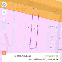 Bán Nhanh 1000M2 Mặt Tiềncó Thương Lượng47, Hàm Ninh, Phú Quốc Giá Siêu Rẻ