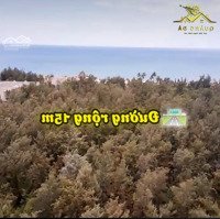 Đất Biển Sao Quá Rẻ, Bán 4 Lô Liền Kề Đường Trường Sa View Biển Đà Nẵng