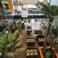 - Cho Thuê Nhà Mặt Phố Tống Duy Tân, Hoàn Kiếm,Diện Tích250M X 4 Tầng,Mặt Tiền15M, Vị Trí Cực Đẹp, Giá 250 Triệu