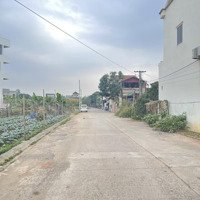80M2 Đất Đấu Giá Phân Lô, Bao Giá Tốt Cho Nđt