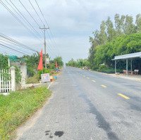 Bán 2 Công Vườn Chà Là 5 Năm Tuổi Đang Ra Bông Chuẩn Bị Thu Hoạch