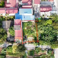 Bán Đất S178M2 Mặt Tiền 10M Chia Được 2 Lô, Nhà Trên Đất Xây Kiểu Quán Cà Phê Có Thể Mua Kinh Doanh