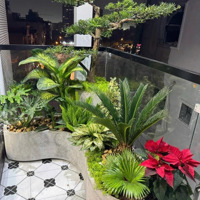 Bán Gấp Nhà , 60M2 8 Tầng Tại Đường Phố Trạm, Long Biên, Hà Nội, 18,5 Tỷ
