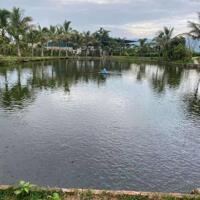 BÁN ĐẤT 4HA XÃ THANH HƯNG, ĐIỆN BIÊN – VỊ TRÍ ĐẸP, ĐƯỜNG NHỰA Ô TÔ TẬN VƯỜN LH:0868862862