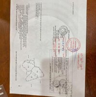 BÁN ĐẤT 4HA XÃ THANH HƯNG, ĐIỆN BIÊN – VỊ TRÍ ĐẸP, ĐƯỜNG NHỰA Ô TÔ TẬN VƯỜN LH:0868862862
