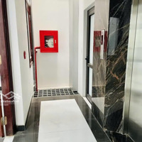 Cho Thuê Lk Thành Phố Giao Lưu - Btl, 130M2 Đất, Xd:100M2 X 5, 1Hầm, Mt:8M, Thông Sàn, Thang Máy...