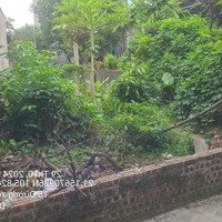 Siêu Hiếm, Giá Chỉ Hơn 40 Triệu/M Ngõ Ô Tô Tại Cổ Dương, Tiên Dương, Đông Anh, Hà Nội
