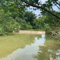 Hơn 1Ha Đất Phù Hợp Làm Khu Nghỉ Dưỡng Lương Sơn Hoà Bình