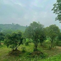 Hơn 1Ha Đất Phù Hợp Làm Khu Nghỉ Dưỡng Lương Sơn Hoà Bình