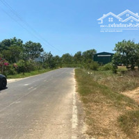 Bán Đất Tại Đh92, 1,6 Tỷ, 3200M2, Mặt Tiền 41M, Pháp Lý Đầy Đủ