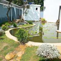 750 M2 Tại Tân Tiến, Chương Mỹ, Sẵn Nhà, Đã Hoàn Thiện Sân Vườn