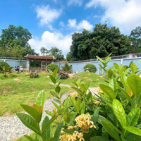 750 M2 Tại Tân Tiến, Chương Mỹ, Sẵn Nhà, Đã Hoàn Thiện Sân Vườn