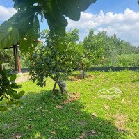 Bán Đất Thổ Cư Và Đất Nông Nghiệp P28 Bình Quới Khu Bán Đảo Thanh Đa Quy Hoạch Đẹp Nhất Sài Gòn
