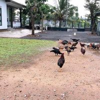 Bán Đất Thổ Cư Và Đất Nông Nghiệp P28 Bình Quới Khu Bán Đảo Thanh Đa Quy Hoạch Đẹp Nhất Sài Gòn