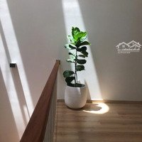 Nhà Đẹp Hà Quang 2- 100M2 Hướng Đông- Giá Bán 6.9 Tỷ