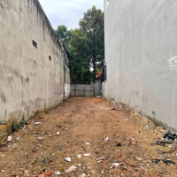 Bán Lỗ 700 Triệu Lô Đất 123M2 Ngay Trung Tâm Phường Tân Bình Sát Trường, Chợ Và Ngân Hàng