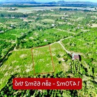 Bán Đất Tại Xã Ea Kly, Krông Pắc, Đắk Lắk, 339 Triệu, 1470 M2
