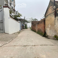 Chính Chủ Bán Đất Yên Ninh Hiền Ninh- Sóc Sơn- Hn Khổ Đất Đẹp Đường Thông Thoáng