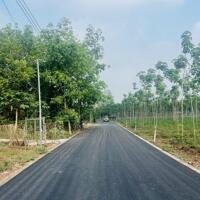 Chủ đang kẹt tiền ngân hàng cần bán gấp 2200m2 đất thổ vườn đường nhựa 15m hiện hữu