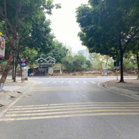 Biệt Thự Khu Đô Thị Trung Văn Vinaconex 3 Sang Xịn 164Mmặt Tiền8,5M*20M Dài- 5 Tầng.