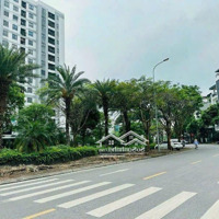 Rẻ Nhất Giang Biên Lô Đất Đẹp, Tđc Giang Biên - Long Biêndiện Tích90M2,Mặt Tiền5.05M, View Shophouse Kinh D