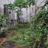 Cực Rẻ, Đầu Tư Ngon.. Phương Nhị, 77M2, Ô Tô Đỗ Sát, 4.6 Tỷ
