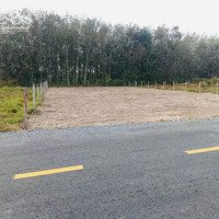 Chính Chủ Kẹt Tiền Bán Lô Đất Vườn 1000M2, Giá Bán 2,350 Tỷ Đường Nhựa 8M Thông