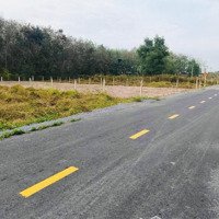 Chính Chủ Kẹt Tiền Bán Lô Đất Vườn 1000M2, Giá Bán 2,350 Tỷ Đường Nhựa 8M Thông